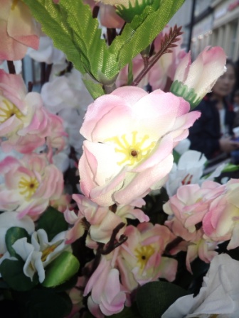 336x448  64 KB. Big one: 3120x4160  2486 KB