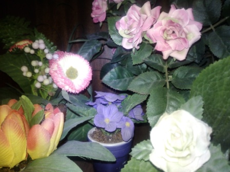 448x336  67 KB. Big one: 4160x3120  3232 KB