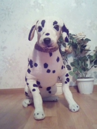 336x448  92 KB. Big one: 1920x2560  1929 KB