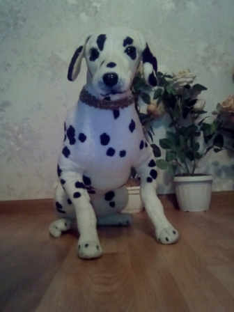 336x448  92 KB. Big one: 1920x2560  1965 KB