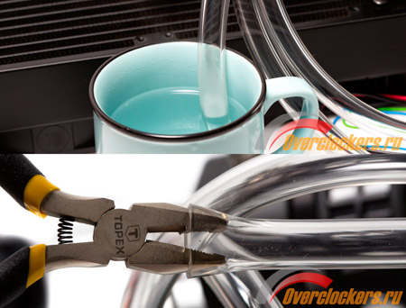 450x342  92 KB. Big one: 1500x1140  277 KB