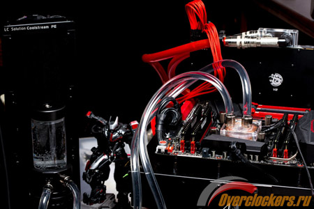 450x300  86 KB. Big one: 1500x1000  274 KB