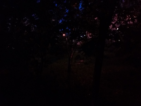 450x338  42 KB. Big one: 3264x2448  1028 KB