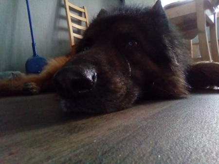 450x338  47 KB. Big one: 2560x1920  969 KB