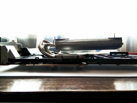 450x338  45 KB. Big one: 798x600  110 KB