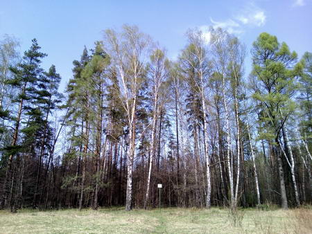 450x338  60 KB. Big one: 3264x2448  5036 KB