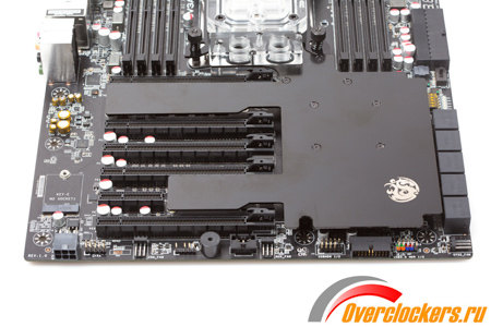 450x300  110 KB. Big one: 1500x1000  313 KB