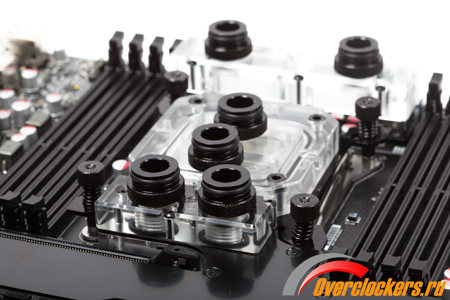 450x300  116 KB. Big one: 1500x1000  255 KB