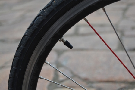 448x299  71 KB. Big one: 1500x1000  610 KB