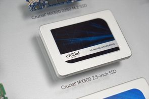 295x197  14 KB. Big one: 800x533  55 KB