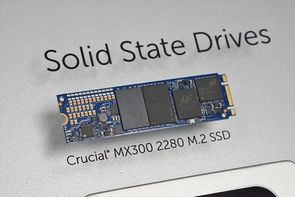 295x197  15 KB. Big one: 800x533  69 KB