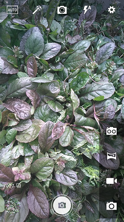 252x450  290 KB. Big one: 843x1500  2407 KB