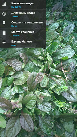 252x450  287 KB. Big one: 843x1500  2421 KB