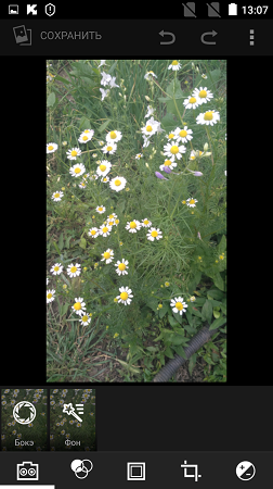 252x450  160 KB. Big one: 843x1500  1263 KB