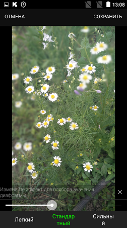 252x450  200 KB. Big one: 843x1500  1667 KB