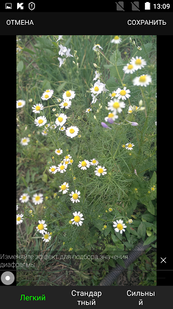 252x450  209 KB. Big one: 843x1500  1738 KB