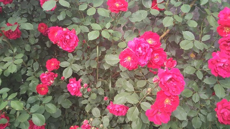 450x253  78 KB. Big one: 4160x2340  2749 KB