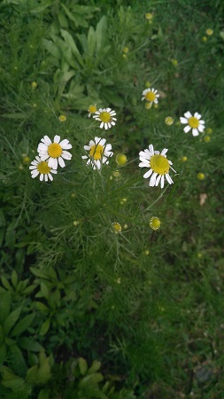 253x450  50 KB. Big one: 2340x4160  1916 KB