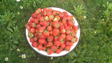 450x253  83 KB. Big one: 4160x2340  3520 KB