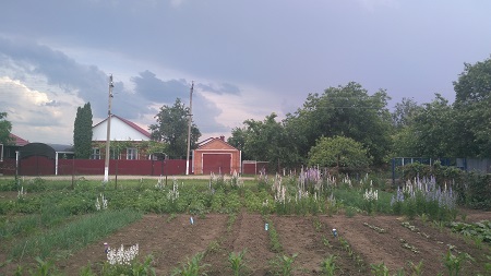 450x253  50 KB. Big one: 4160x2340  2630 KB