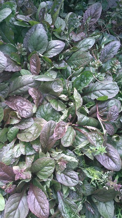 253x450  85 KB. Big one: 2340x4160  3513 KB