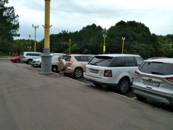 337x253  41 KB. Big one: 4608x3456  4381 KB