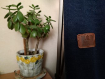 337x253 32 KB. Big one: 4608x3456 3104 KB 337x253 32 KB. Big one: 4608x3456 3104 KB