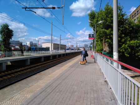 448x336  78 KB. Big one: 4608x3456  5121 KB