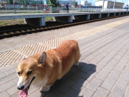 448x336  76 KB. Big one: 4608x3456  4543 KB