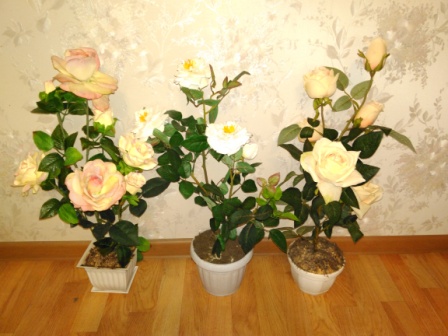 448x336  71 KB. Big one: 4608x3456  3390 KB