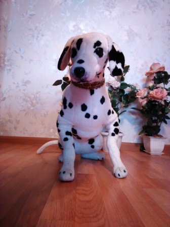 336x448  58 KB. Big one: 1944x2592  1073 KB