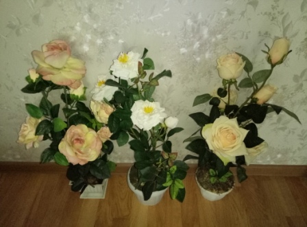 448x332  69 KB. Big one: 4208x3120  4647 KB