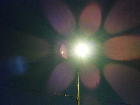 450x338  39 KB. Big one: 4608x3456  2400 KB