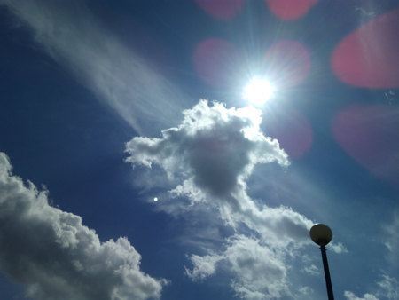 450x338  58 KB. Big one: 4608x3456  1623 KB