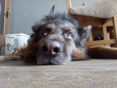 450x338  48 KB. Big one: 3264x2448  1403 KB