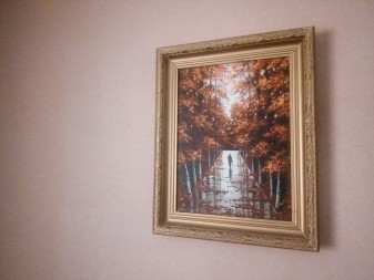 337x253  162 KB. Big one: 3264x2448  2348 KB