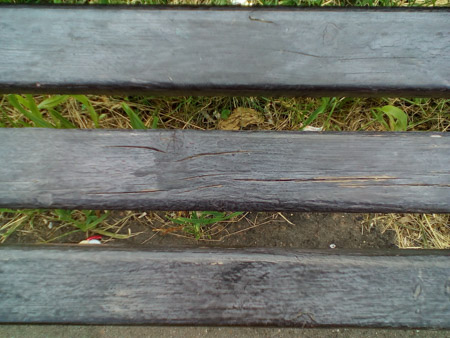 450x338  58 KB. Big one: 3264x2448  1718 KB