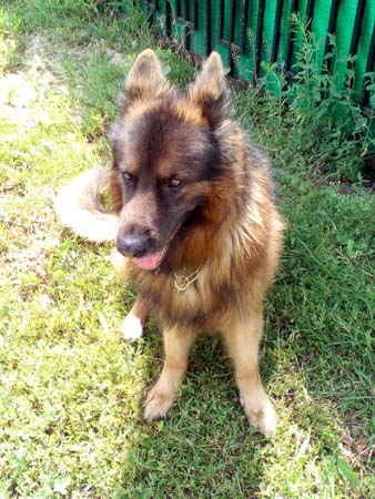 338x450  51 KB. Big one: 2448x3264  2442 KB