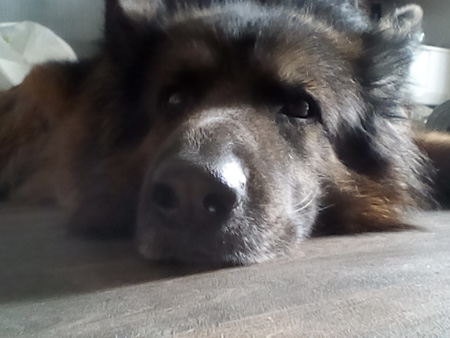 450x338  49 KB. Big one: 1600x1200  257 KB