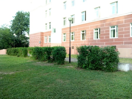 448x336  74 KB. Big one: 4224x3168  4764 KB