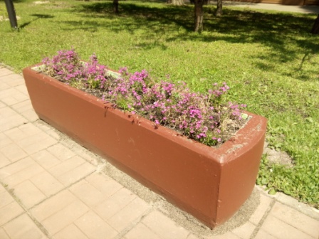 448x336  77 KB. Big one: 4224x3168  5035 KB