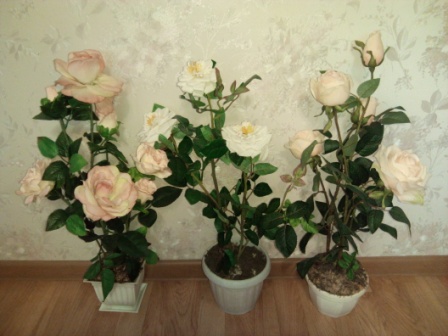 448x336  65 KB. Big one: 4224x3168  5380 KB