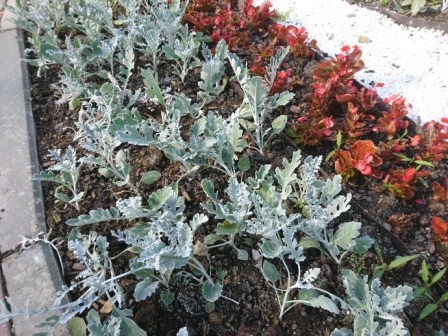 448x336  156 KB. Big one: 5520x4140  13264 KB