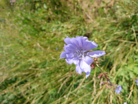 448x336  105 KB. Big one: 5520x4140  9459 KB