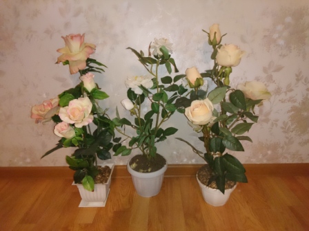 448x336  92 KB. Big one: 5520x4140  8140 KB