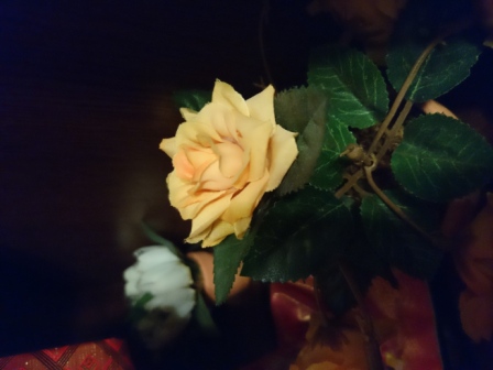 448x336  72 KB. Big one: 5520x4140  5054 KB