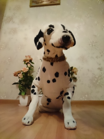 336x448  77 KB. Big one: 3120x4160  2945 KB