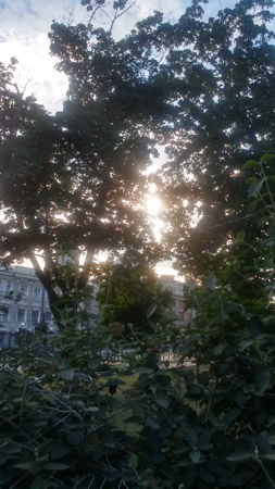 253x450  49 KB. Big one: 2160x3840  2470 KB