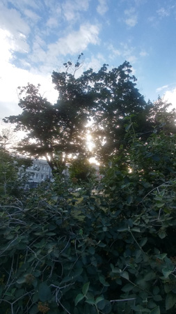 253x450  57 KB. Big one: 2160x3840  2844 KB