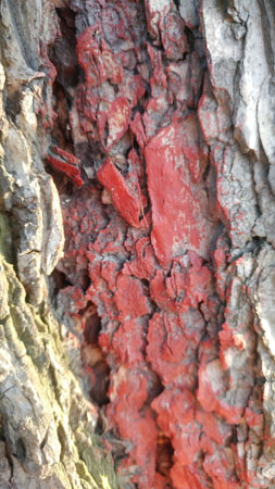 253x450  50 KB. Big one: 2988x5312  5139 KB